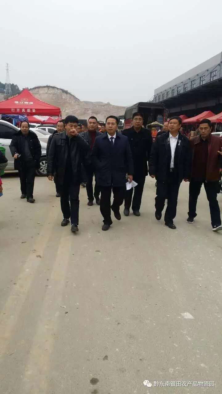 凱里市羅杰市長(zhǎng)一行赴銀田農(nóng)產(chǎn)品物流園考察