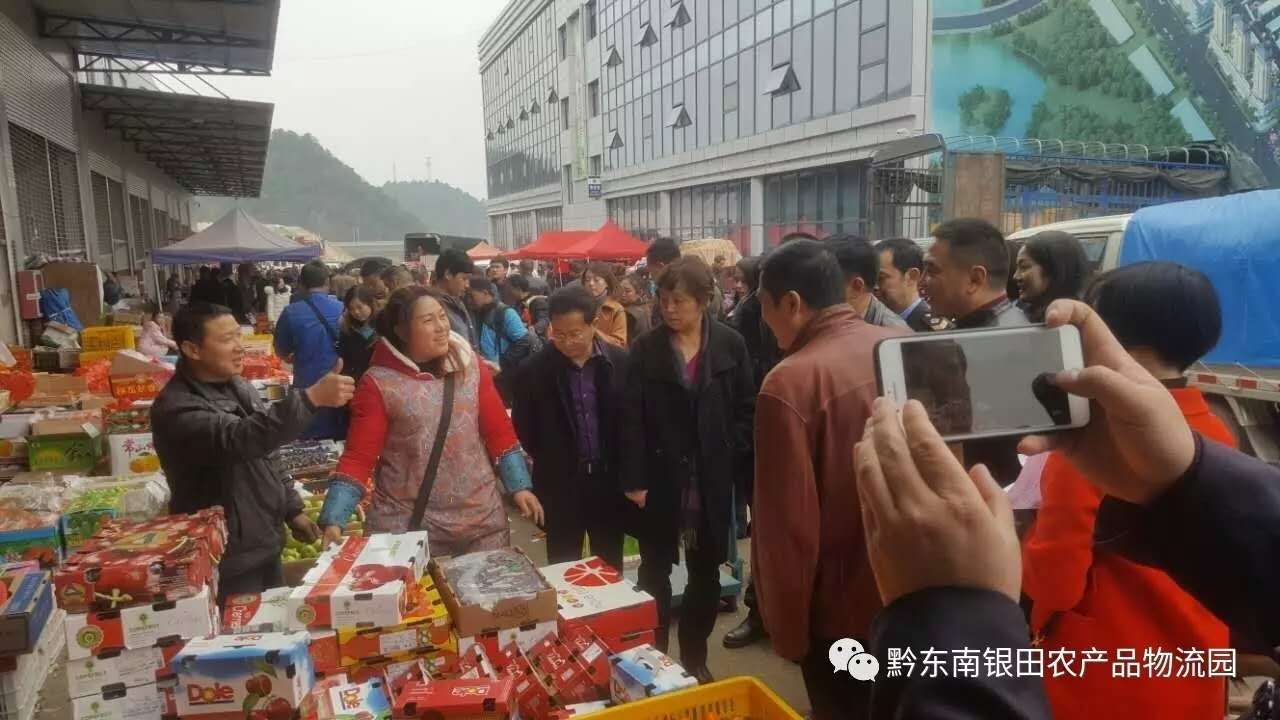 黔東南州劉曉春副州長(zhǎng)率隊(duì)前往銀田農(nóng)產(chǎn)品物流園視察